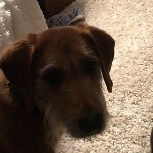 Meet your Posher, Robyn